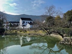 -树山生态村