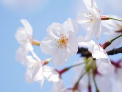 -新天地活力PARK