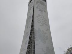 -东平国家森林公园