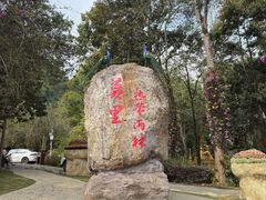 -莫里热带雨林景区