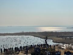 -烟墩角天鹅湖