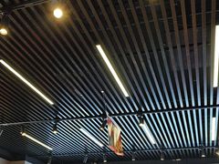 -美蛙四季(六里桥店)