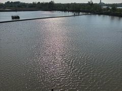 -盐城丹顶鹤湿地生态旅游区