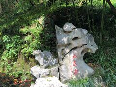 -十八棵（老龙井）御茶园(老龙井店)