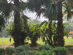 -中国科学院西双版纳热带植物园
