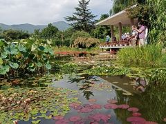 -国家植物园南园