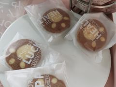 -喵屿·大理花园猫咖