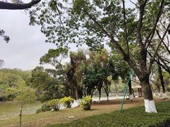 -番禺大夫山森林公园