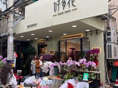 -溪岸路花鸟市场