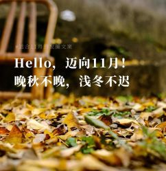 -丝语萱形象
