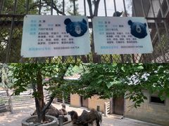 -昆明动物园