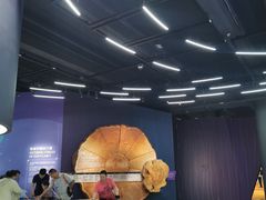 -香港科学馆