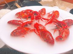 -红盔甲·小龙虾(车公庙店)