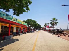 -南沙十九涌渔人码头-南门