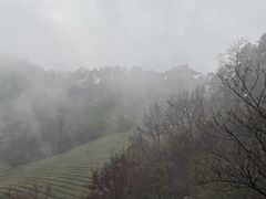 -敬亭山风景名胜区