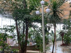 -汤泊温泉度假村