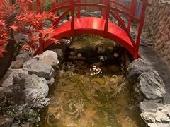 -綱元·海鲜豆捞(明州里店)