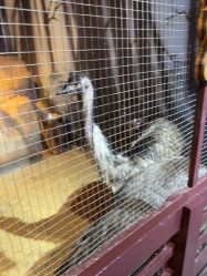 -酷嗒动物文化乐园(cutezoo西溪乐天城店)