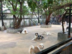 -TrueLove @ Neverland (Husky Cafe)