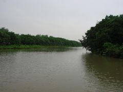 景点-大湾区中央湿地公园