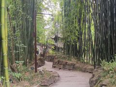 -三苏祠