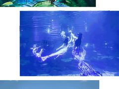-福州罗源湾海洋世界旅游区