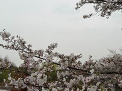 -自然谷恐龙园