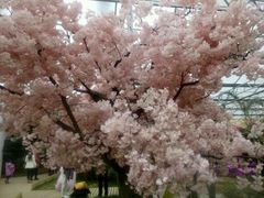 -兰陵国家农业公园