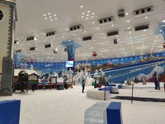 -长沙湘江冰雪世界