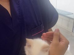 -中农国际动物医院24小时·猫科·骨科·急重症中心