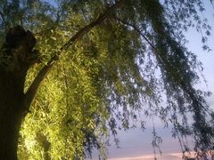 -艾溪湖湿地公园