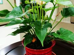 -中山大学附属肿瘤医院体检中心