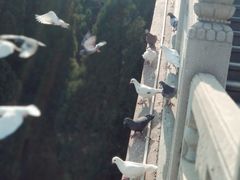 -龙口南山旅游景区