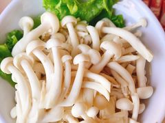 -阳坊胜利涮羊肉(阳坊老店)