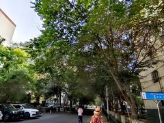 -新疆医科大学第一附属医院