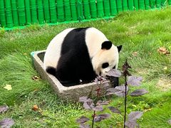 -西霞口神雕山野生动物世界