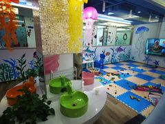 -Dr.Z dental仁康种植矫正中心