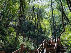-大岭沟猕猴桃谷风景区