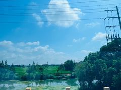 -上海海湾国家森林公园