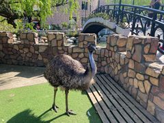 -J Create城市露营咖啡·简餐·宠物(上海动物园店)