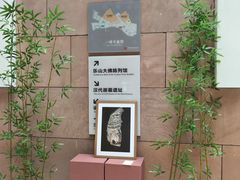 -乐山市博物馆