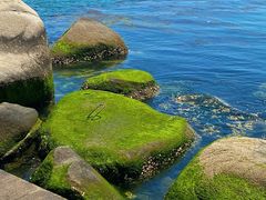 -海源公园