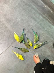 -酷嗒动物文化乐园(cutezoo西溪乐天城店)