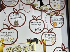 -豆逗聊愈猫阁Easy Life
