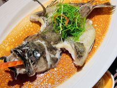 -南海渔村(珠江新城店)
