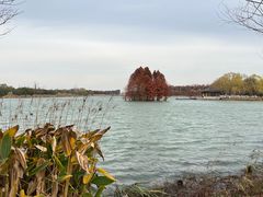 -尚湖风景区