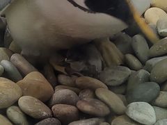 -大连圣亚海洋世界