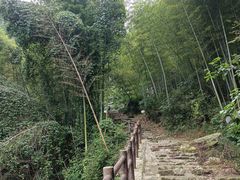 -白水冲瀑布