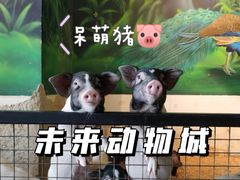 -昆明大悦城未来动物城(螺蛳湾中心店)