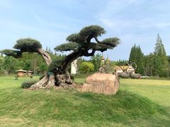 -东平国家森林公园
